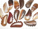 [Video] Carnelian, Sardonyx Angel Wing 44x20mm 2pcs