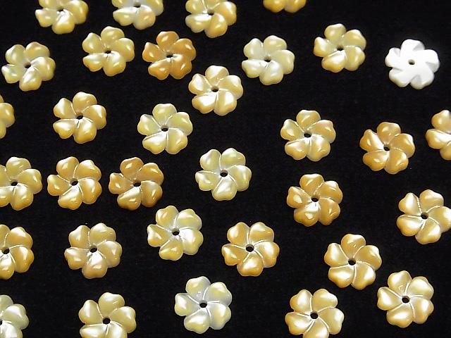 [Video] High Quality Yellow Shell AAA Flower 8mm Center Hole 4pcs