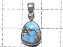 [Video][One of a kind] Kazakhstan Golden Hill Turquoise Pendant Silver925 NO.36