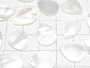 [Video] High Quality White Shell (Silver-lip Oyster) AAA Flat Pear Shape 16x12mm 4pcs