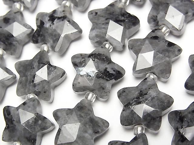 [Video] Larvikite Faceted Star 14x14mm half or 1strand beads (aprx. 14inch/34cm)