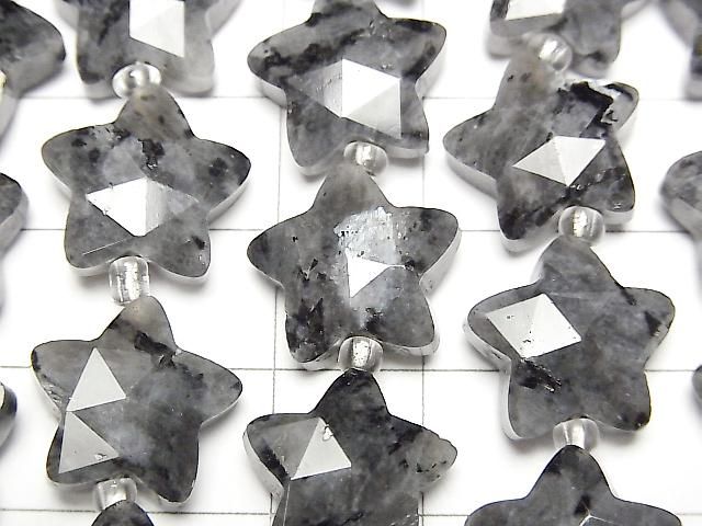 [Video] Larvikite Faceted Star 14x14mm half or 1strand beads (aprx. 14inch/34cm)