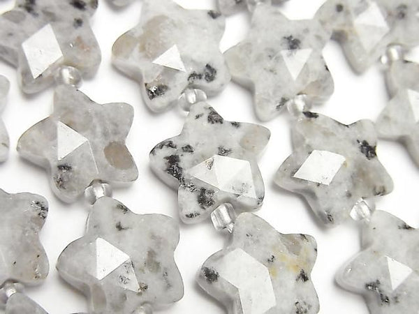 [Video] Sesame Jasper Faceted Star 14x14mm half or 1strand beads (aprx. 14 inch/34 cm)