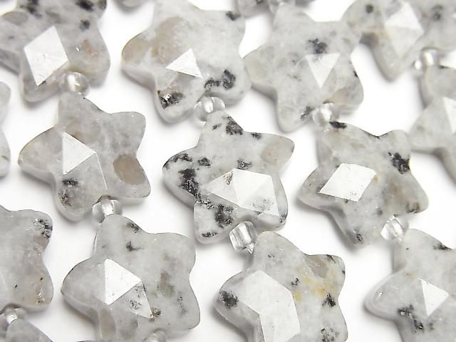 [Video] Sesame Jasper Faceted Star 14x14mm half or 1strand beads (aprx. 14 inch/34 cm)