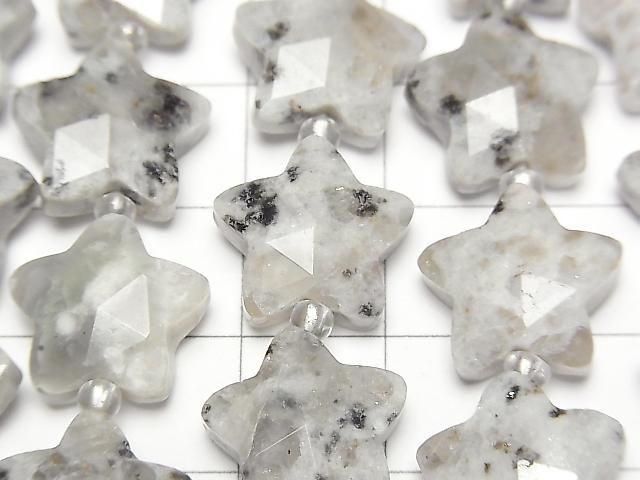 [Video] Sesame Jasper Faceted Star 14x14mm half or 1strand beads (aprx. 14 inch/34 cm)