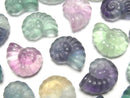 [Video] Multicolor Fluorite AAA- Ammonite Motif 13x16mm [Undrilled] 5pcs