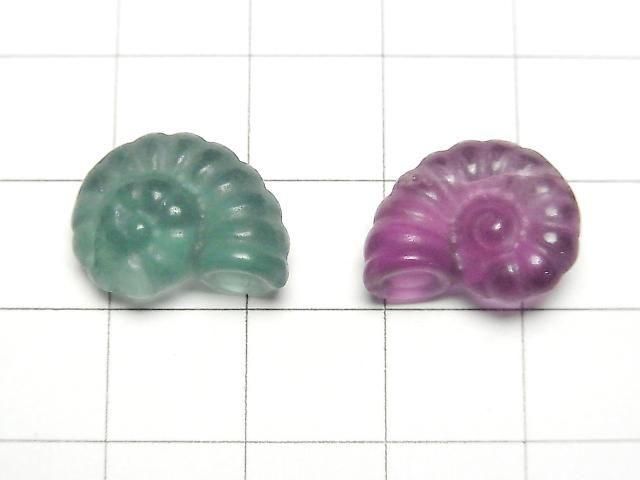 [Video] Multicolor Fluorite AAA- Ammonite Motif 13x16mm [Undrilled] 5pcs