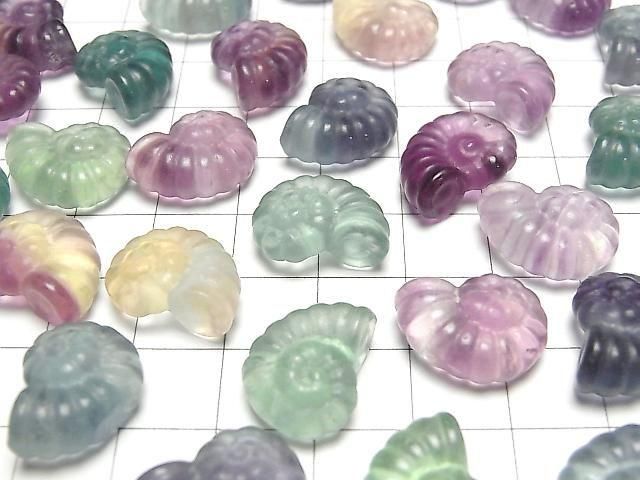 [Video] Multicolor Fluorite AAA- Ammonite Motif 13x16mm [Undrilled] 5pcs
