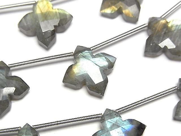 [Video] Labradorite AAA- Deformed Faceted Square 15x15mm 1strand (5pcs)