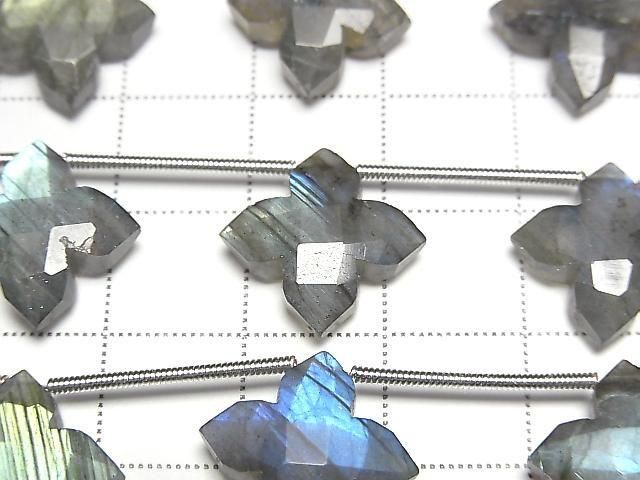 [Video] Labradorite AAA- Deformed Faceted Square 15x15mm 1strand (5pcs)