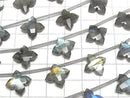 [Video] Labradorite AAA- Deformed Faceted Square 15x15mm 1strand (5pcs)