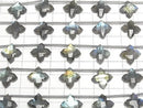 [Video] Labradorite AAA- Deformed Faceted Square 15x15mm 1strand (5pcs)