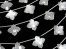 [Video] High Quality White Moonstone AA++ Faceted Square 15x15mm 1 Strand (5pcs)