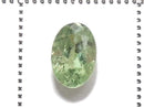 [Video][One of a kind] High Quality Demantoid Garnet AAA- Loose Faceted Stone 1pc NO.14