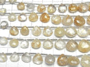 [Video]Rutilated Quartz AA+ Chestnut Faceted Briolette half or 1strand (16pcs)