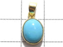 [Video][One of a kind] Kingman Turquoise AAA Pendant 18KGP NO.232