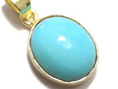 [Video][One of a kind] Kingman Turquoise AAA Pendant 18KGP NO.236