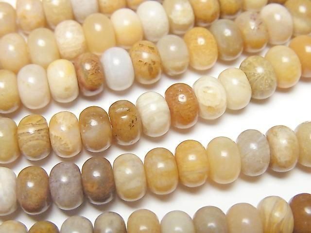 [Video]Fossil Coral Rondelle 6x6x4mm 1strand beads (aprx.15inch/37cm)