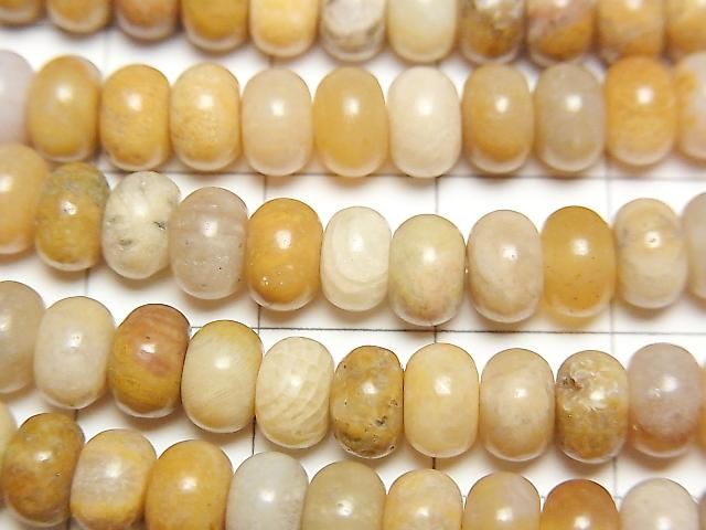 [Video]Fossil Coral Rondelle 6x6x4mm 1strand beads (aprx.15inch/37cm)
