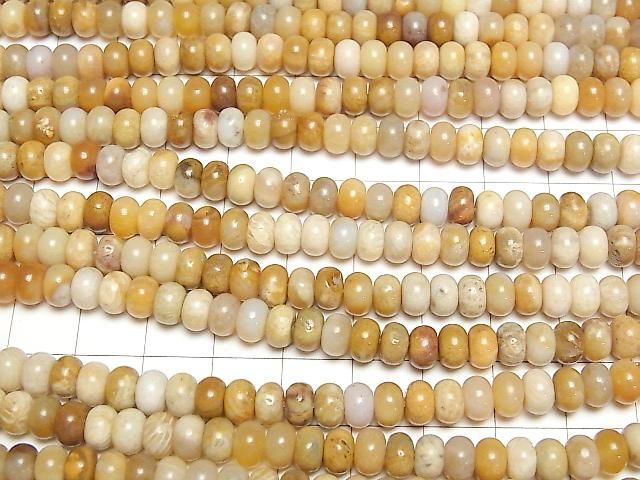 [Video]Fossil Coral Rondelle 6x6x4mm 1strand beads (aprx.15inch/37cm)