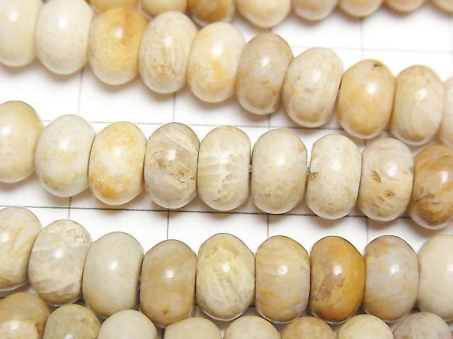 [Video]Fossil Coral Rondelle 8.5x8.5x5mm 1strand beads (aprx.15inch/37cm)