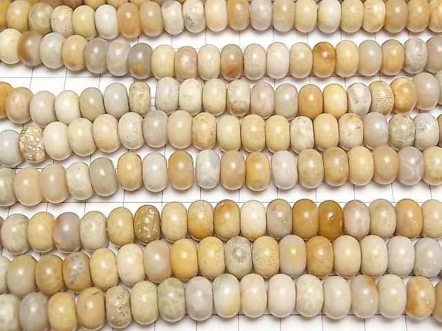 [Video]Fossil Coral Rondelle 10x10x6mm 1strand beads (aprx.15inch/36cm)