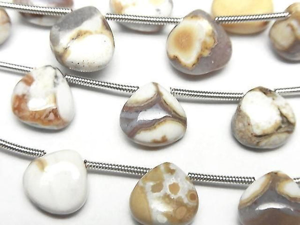 [Video] Turritella Agate Chestnut (Smooth) 1 strand beads (11pcs)