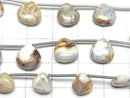 [Video] Turritella Agate Chestnut (Smooth) 1 strand beads (11pcs)