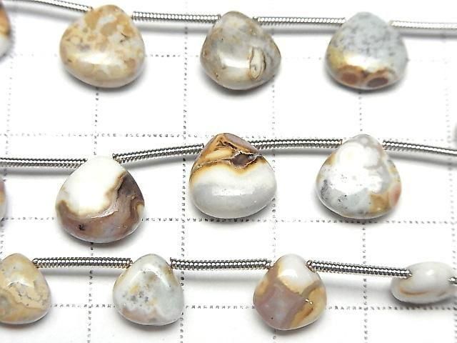 [Video] Turritella Agate Chestnut (Smooth) 1 strand beads (11pcs)