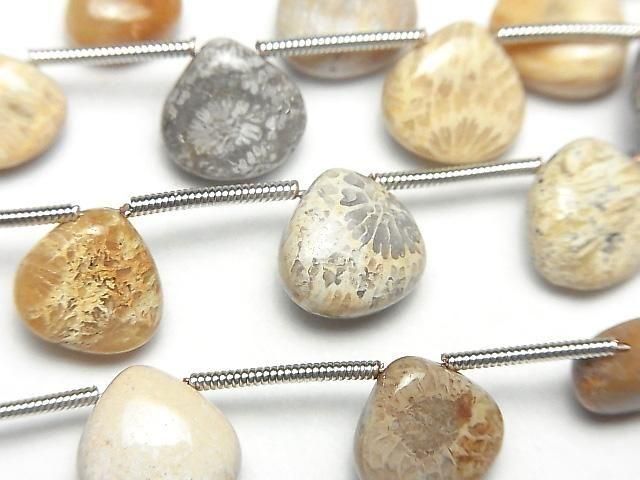 [Video] Fossil Coral Chestnut (Smooth) 1 strand beads (11pcs)
