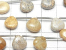 [Video] Fossil Coral Chestnut (Smooth) 1 strand beads (11pcs)