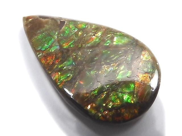 [Video][One of a kind] Ammolite AAA- Loose stone 1pc NO.19