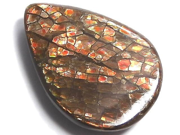 [Video][One of a kind] Ammolite AAA- Loose stone 1pc NO.20