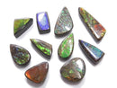 [Video][One of a kind] Ammolite AAA- Loose stone 10pcs set NO.21