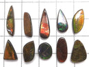 [Video][One of a kind] Ammolite AAA- Loose stone 10pcs set NO.22