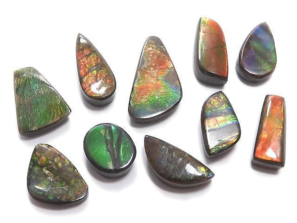 [Video][One of a kind] Ammolite AAA- Loose stone 10pcs set NO.23