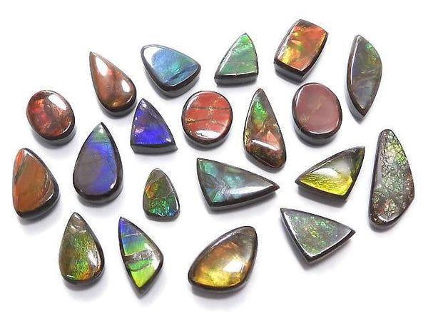 [Video][One of a kind] Ammolite AAA- Loose stone 20pcs set NO.25