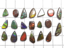 [Video][One of a kind] Ammolite AAA- Loose stone 20pcs set NO.25