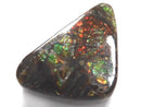 [Video][One of a kind] Ammolite AAA- Loose stone 1pc NO.28