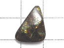 [Video][One of a kind] Ammolite AAA- Loose stone 1pc NO.28