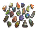 [Video][One of a kind] Ammolite AAA- Loose stone 20pcs set No.29