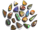 [Video][One of a kind] Ammolite AAA- Loose stone 20pcs set No.31