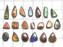 [Video][One of a kind] Ammolite AAA- Loose stone 20pcs set No.31