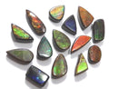 [Video][One of a kind] Ammolite AAA- Loose stone 14pcs set No.32