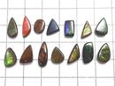 [Video][One of a kind] Ammolite AAA- Loose stone 14pcs set No.32