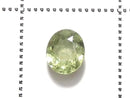 [Video][One of a kind] High Quality Demantoid Garnet AAA- Loose Faceted Stone 1pc NO.21