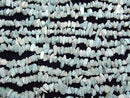[Video]Larimar Pectolite AA Chips (Small Nugget) 1strand beads (aprx.15inch/37cm)