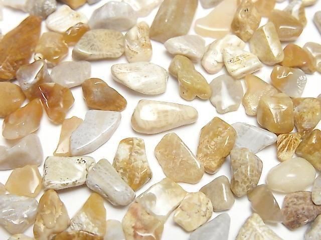 Fossil Coral Undrilled Chips 100g