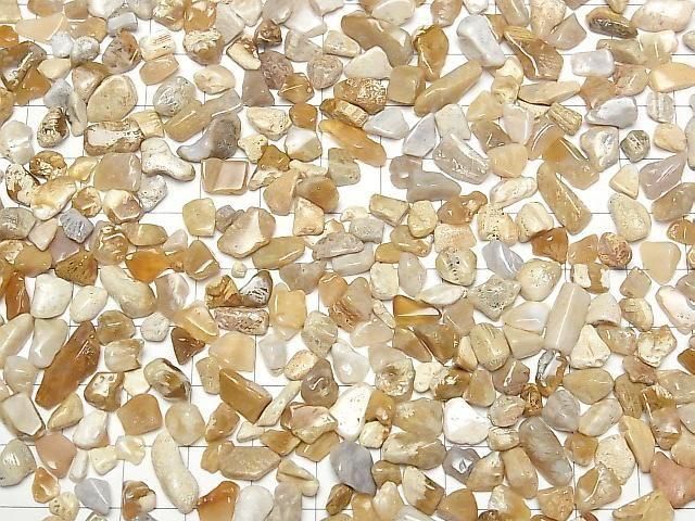 Fossil Coral Undrilled Chips 100g