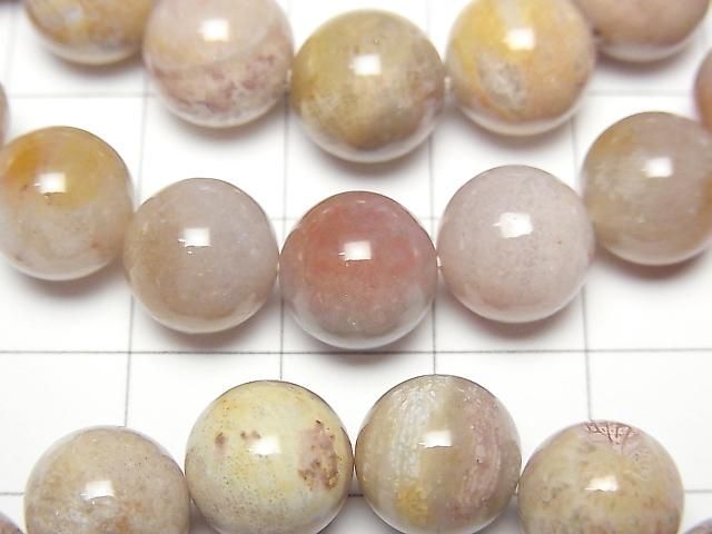 [Video] Fossil Coral Round 10mm Bracelet